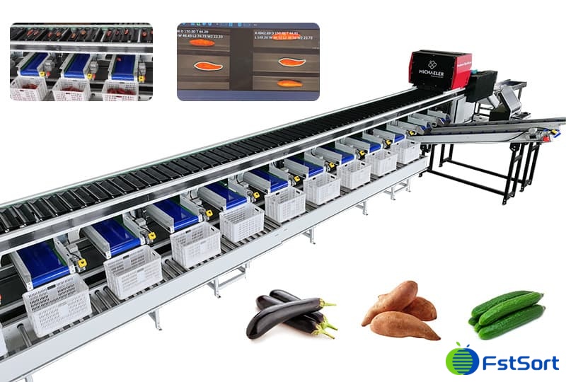 sweet potato optical sorting grading machine.jpg sweet potato optical sorting grading machine.jpg