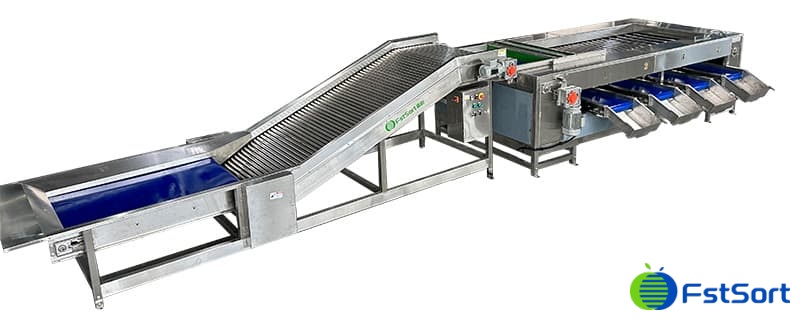 orange sorting machine.jpg orange sorting machine.jpg