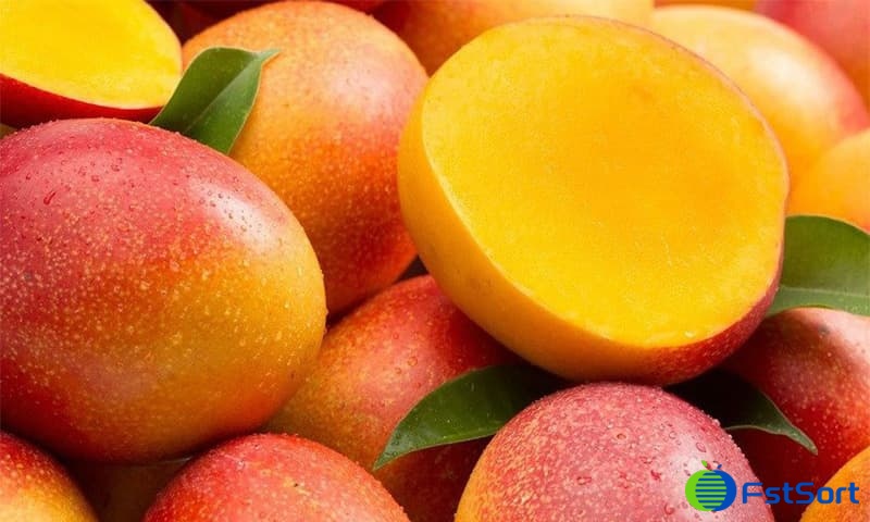 mango.jpg mango.jpg