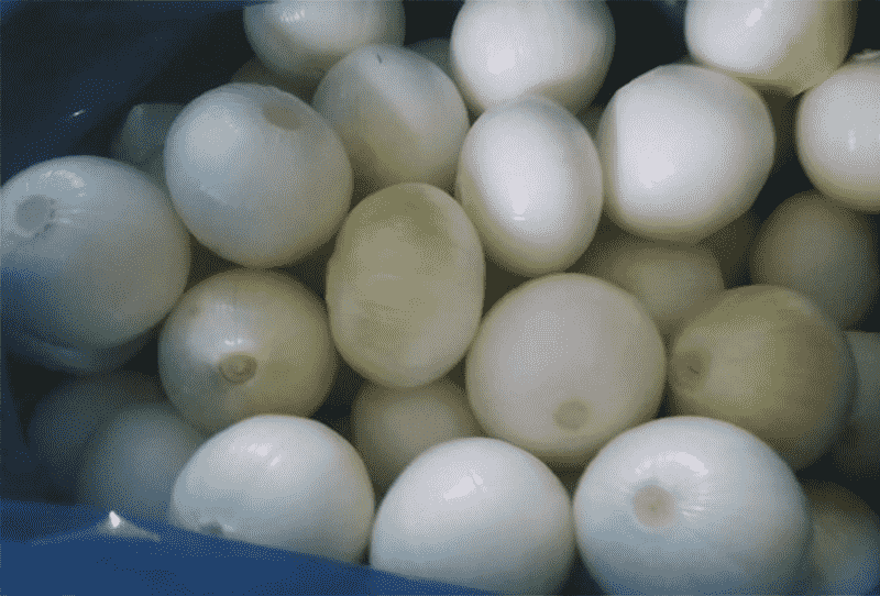 images/1747815174160未标题-4.png