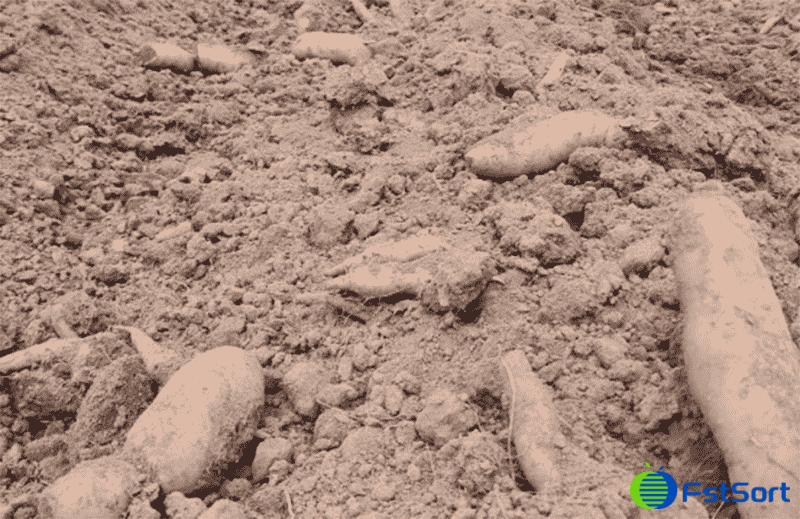 images/1757991487747新闻1-.png