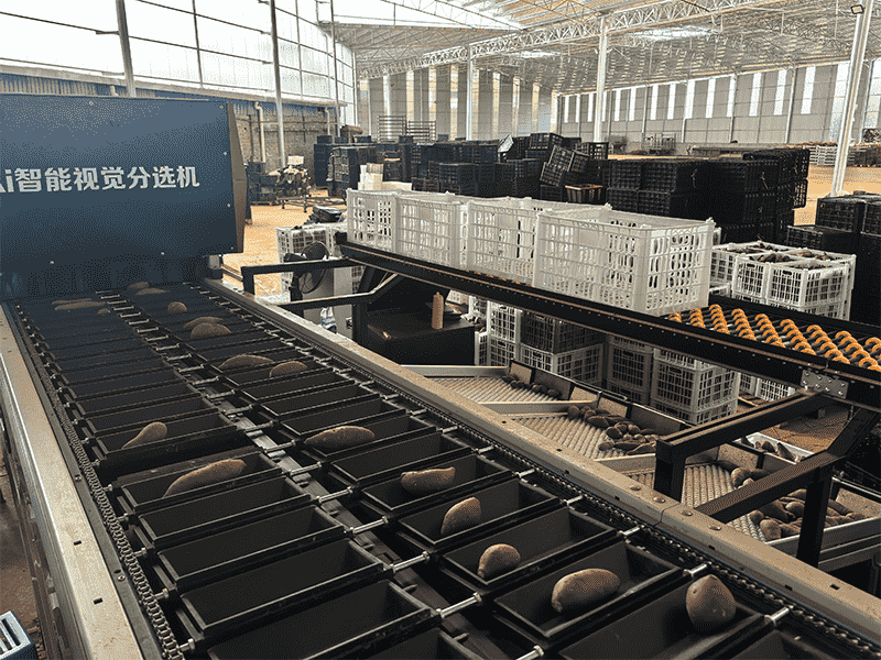 images/1757991605699新闻2.png