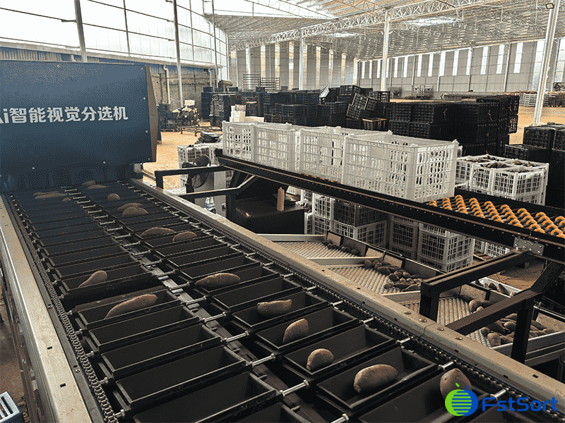 images/1757991605699新闻2.png