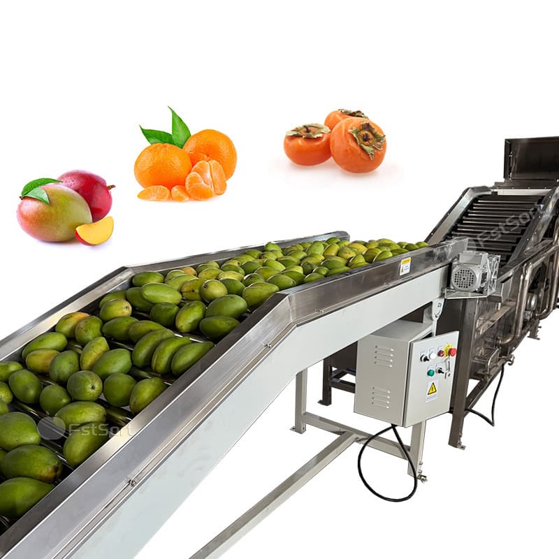 images/1768529636022mango 3.jpg