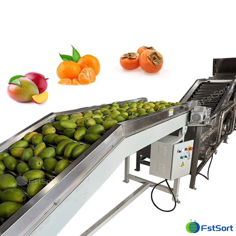 images/1768529636022mango 3.jpg