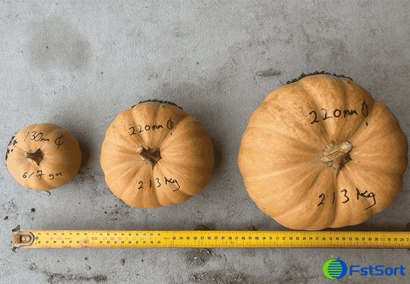 images/1771926435356Pumpkin Sorting Grading Machine.png