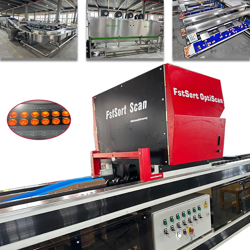 images/1774261360090FstSort-Optical-Sorting-machine.jpg