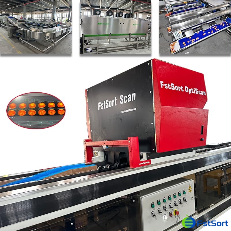 images/1774261360090FstSort-Optical-Sorting-machine.jpg