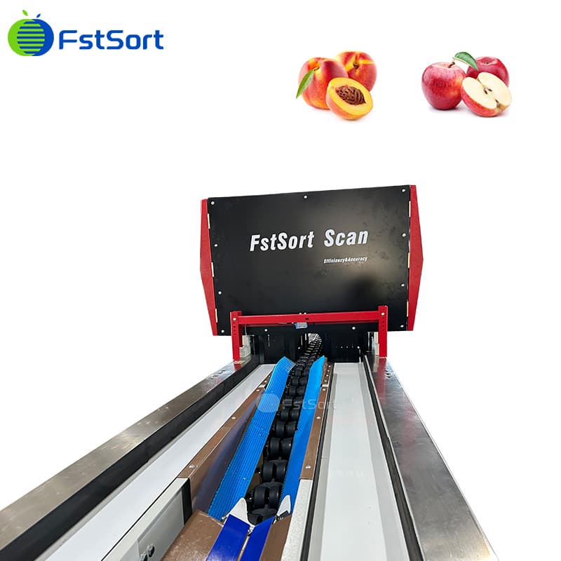 images/1774261441427Advanced-Fruit-and-Vegetable-Sorting-Machine.jpg