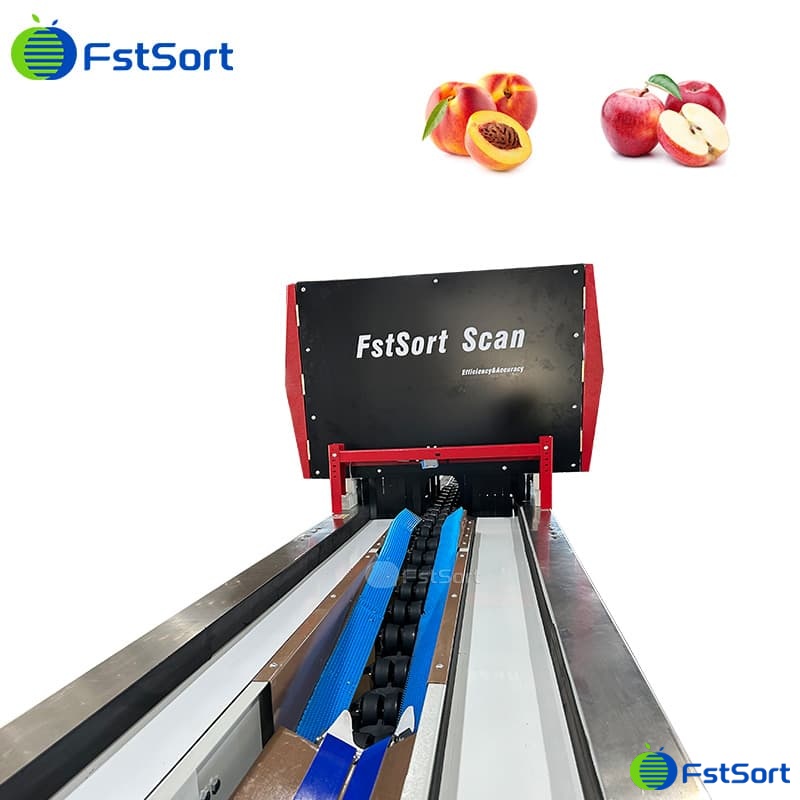 images/1774261441427Advanced-Fruit-and-Vegetable-Sorting-Machine.jpg