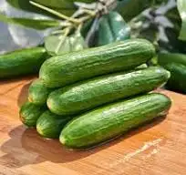 Fruit cucumber sorting machine