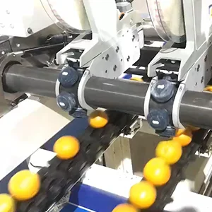 Automatic fruit labeling machine