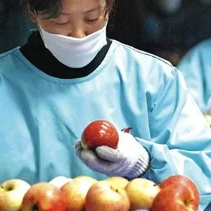 Apple exports in Southeast Asia decline