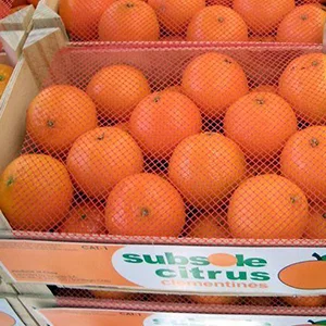 Chilean citrus exports will increase this season