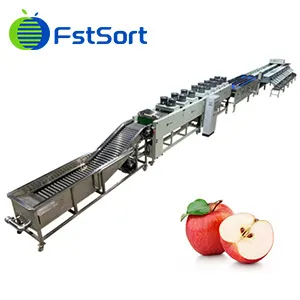 How do exporters process apples for export