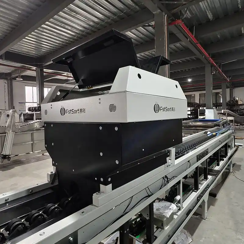 Advantages of Fstsort Mango Optical Sorting Lline