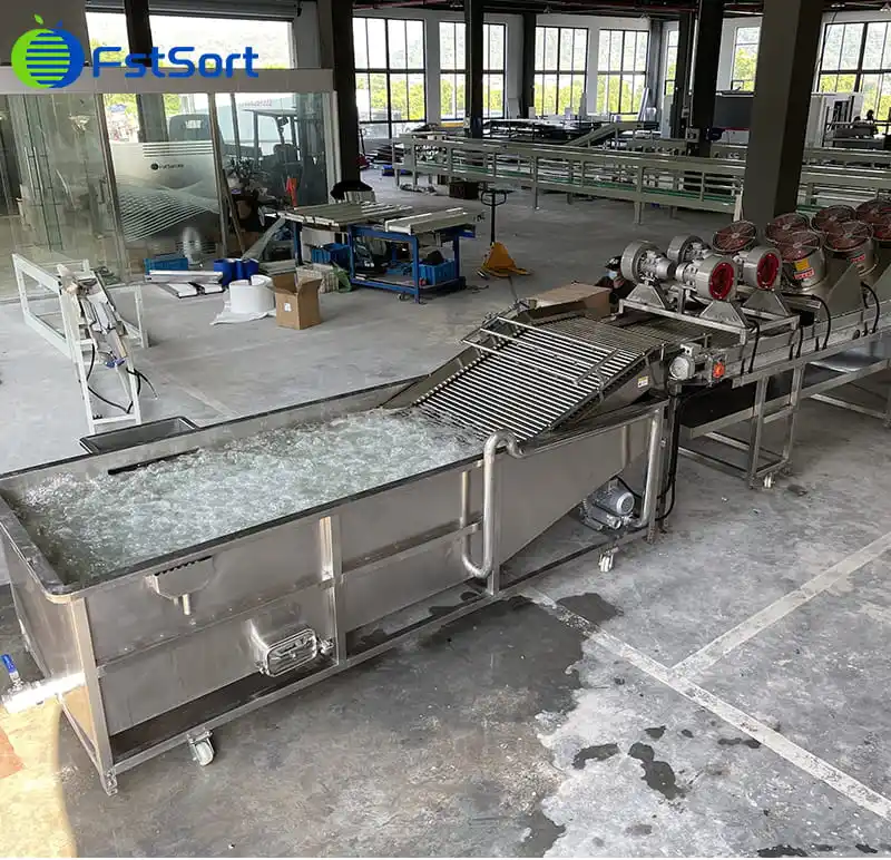 The 4th purchase of our machine by a Korean tomato processing plant