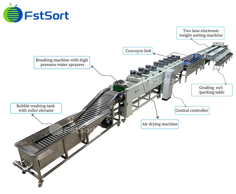 How to choose the apple sorting machine