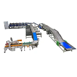 máquina de tamaño de lichi