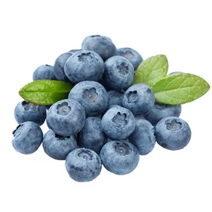 Chilean blueberry's strict quality control system
