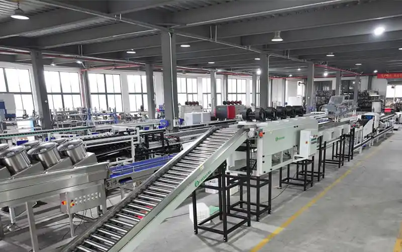 FstSort Launches Advanced Coconut Weight Sorting Machine in Ivory Coast Boosting Agricultural Efficiency