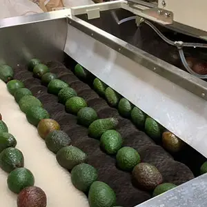 Effective methods for prolonging shelf life of ripe avocado