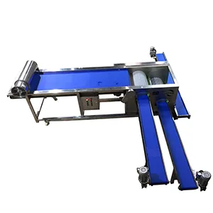 Blueberry Sorting Machine Will Be Shipped to Chile
