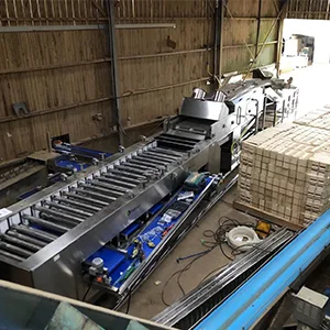 Adjustable radish washing and drying grading machine