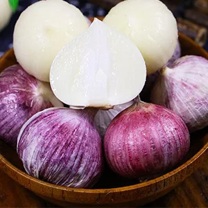 How to Sort Elephant Garlic