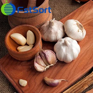 Garlic Sorting Grading Machine