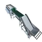 Congratulations on selling a fruit grader