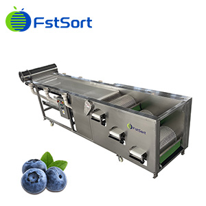 FstSort blueberry sorting machine，blueberry grader，drum separating technology，blueberries classifier,blueberry grading machine，fstsort,fruit processing machine