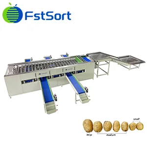 Potatoes should be sorted this way