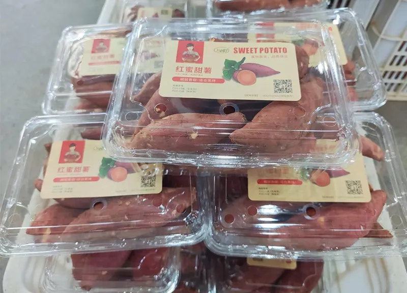 Why do we need sweet potatoes sorting and packing lines