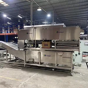 Large lemon Waxing Sorting Line for the Mexican Customer was Loaded