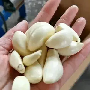 Máquina para partir dientes y clasificación de ajos