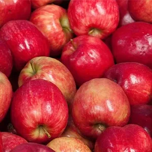 China is the largest apple exporter