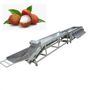 Litchi grader helps Vietnam's fruit farmers usher in litchi season