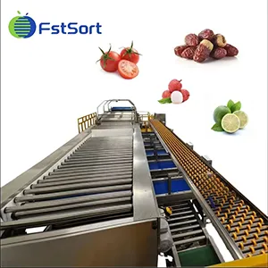 FstSort's New Electronic Weighing Sorting Machine: 50 percent Increased Efficiency and Greater Care for Fragile Fruits