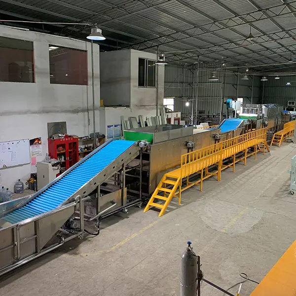 Customized Sweet potato cleaning packaging line for European customer