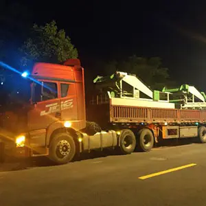 China's garlic market