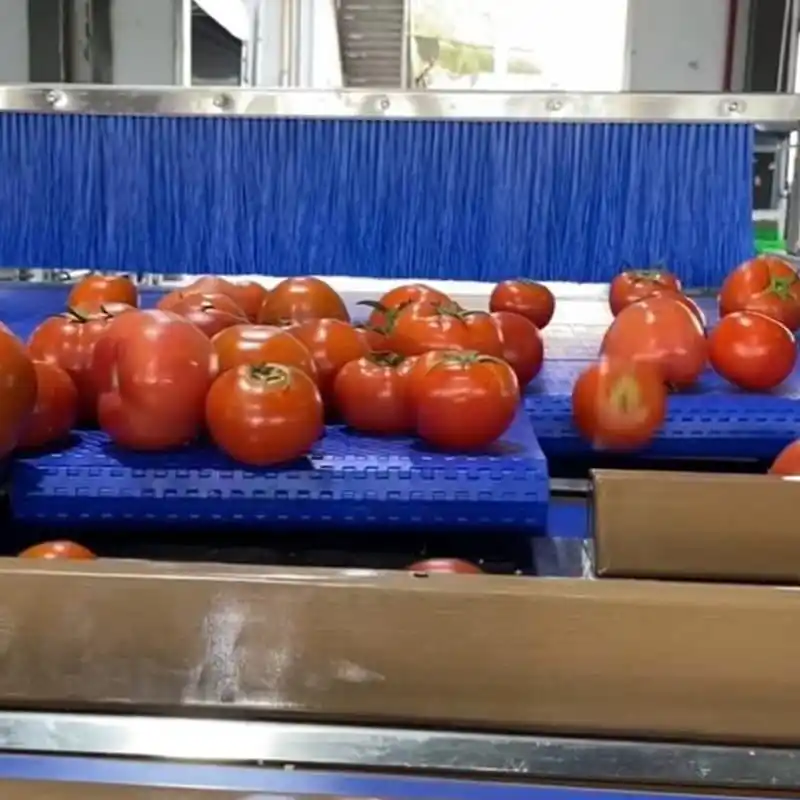 What does technology bring to fruits and vegetables