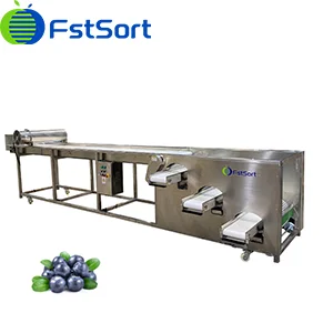 How to protect the blueberry peel powder