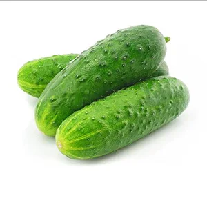 Matched Gherkin Roller Sorting Machine-Adjustable Function