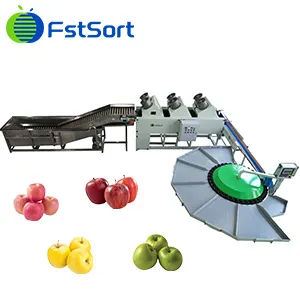 Las manzanas méxicanas comienzan a cosechar