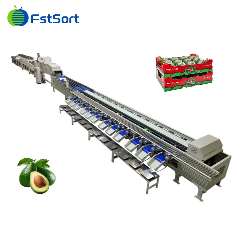 Avocado processing equipment is on hot sale