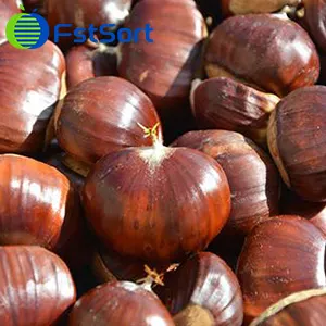 Chestnut export prices rise