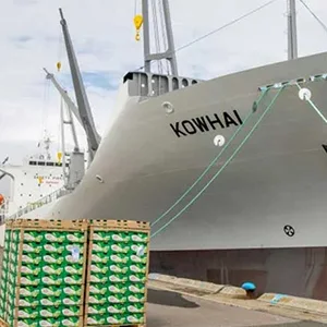 Three dedicated new refrigerated vessels for transporting kiwi