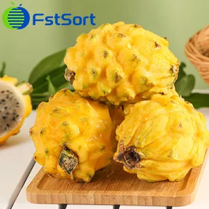 Pitaya Ecuatoriana aprobada oficialmente para ser importada a China