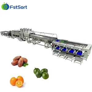 ¿Sabes el equipo de clasificación de kumquat?